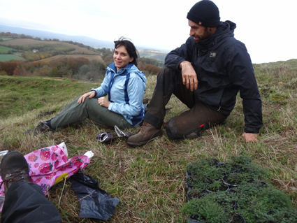 wild thyme planting on the hillfort - rachel and tom
